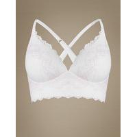 ms collection penelope lace padded plunge bra a e