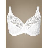 ms collection vintage lace non padded full cup bra dd h