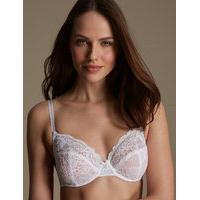 ms collection 2 pack isabella all over lace underwired full cup bra b  ...