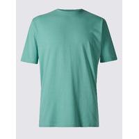 M&S Collection Pure Cotton Crew Neck T-Shirt