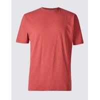 M&S Collection Pure Cotton Crew Neck T-Shirt