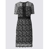 M&S Collection Lace Patterend Short Sleeve Shift Dress