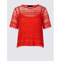 ms collection petite all over lace half sleeve jersey top