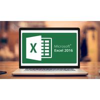 MS Excel 2016 - Set of 3 Interactive Courses