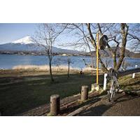 Mt Fuji Tour with Lake Kawaguchi Bike Tour from Tokyo