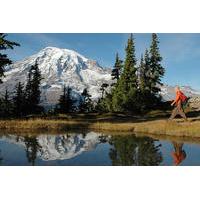 Mt Rainier Small-Group Walking or Snowshoeing Tour with Lunch