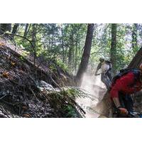 Mt Wilson Private Full Day Mountain Biking Tour and Shuttle