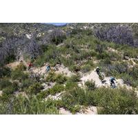 Mt Wilson Private Full Day Mountain Biking Tour