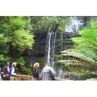 Mt Field National Park and Russell Falls from Hobart
