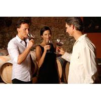 mt etna wine tasting and village tour from taormina