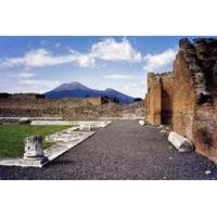 Mt Vesuvius and Pompeii Tour by Bus from Sorrento