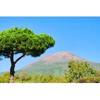 Mt Vesuvius Tour from Sorrento