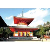 Mt Koya Tour with Overnight Stay at Fukuchi-in Temple by Rail from Osaka