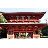 Mt Koya Day Trip from Osaka Including Okunoin and Danjo Garan Temples
