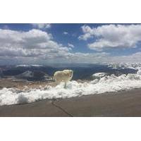 Mt Evans Drive from Denver: Scenic Mountains and Mining Towns