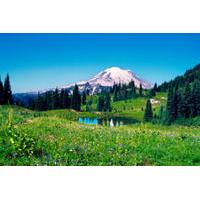 Mt Rainier Day Tour from Seattle