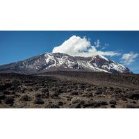 Mt Kilimanjaro Trek - Machame 9 Day Route