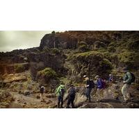 Mt Kilimanjaro Trek - Machame 8-Day Route