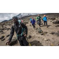 Mt Kilimanjaro Trek - Lemosho Route