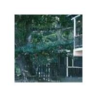 Mt. Plaisir Estate Hotel