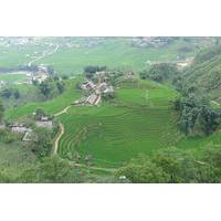 muong hoa valley half day bike tour from sapa