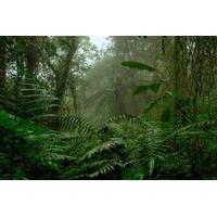 Museum of Tulipe, Reserve of Bel...