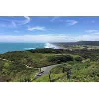 Muriwai Scenic Wine Tour