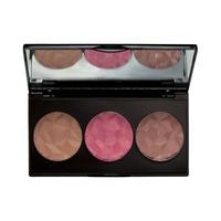 mua luxe bashful trio blush 2 multi