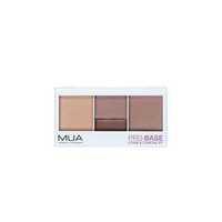 mua pro base cover conceal kit chestnut multi