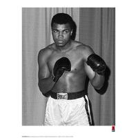 Muhammad Ali Stance Photographic Print