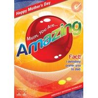 Mum You Are Amazing |Mother\'s Day |BC1483