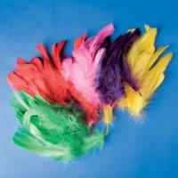 Multicoloured 200 Piece Feather Set