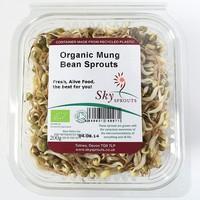 Mung beans Sprouts (100g)