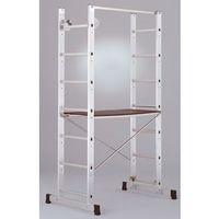 MULTI SCAFFOLD ALU