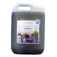 Mutneys Dewbery Shampoo