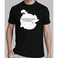 mushrooms are coming