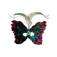 Multi Coloured Mask with feathers