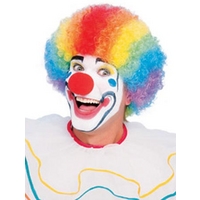 Multi Colour Clown Afro