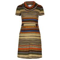 Multi-Coloured Stripe Print Cowl Neck Tunic Dress