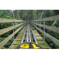 Mystic Mountain Jamaica Bobsled from Ocho Rios