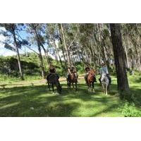 Mystical Horseback Riding Tour from Cusco