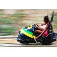 Mystic Mountain Zipline or Bobsl...