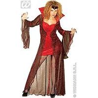 Mystic Mistress Velvet Costume Large For Halloween Fancy Dress