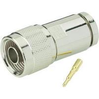 N connector Plug, straight 50 ? ...