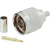N connector Plug, straight 50 ? BKL Electronic 404074 1 pc(s)