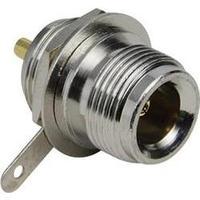 N connector Socket, vertical ver...