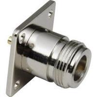 N connector Socket, vertical ver...