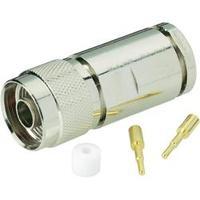 N connector Plug, straight 50 ? ...