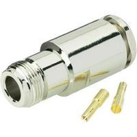 N connector Socket, straight 50 ...