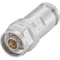 N connector Plug, straight 50 ? Rosenberger 53S102-015N5 1 pc(s)